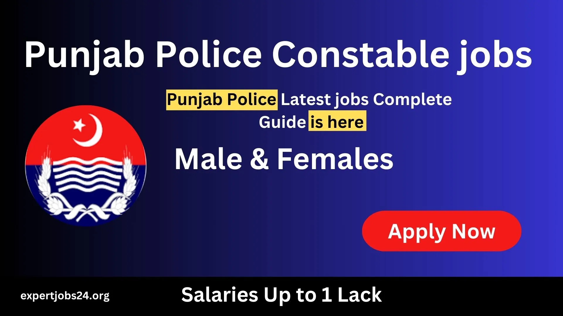 constable Punjab police jobs