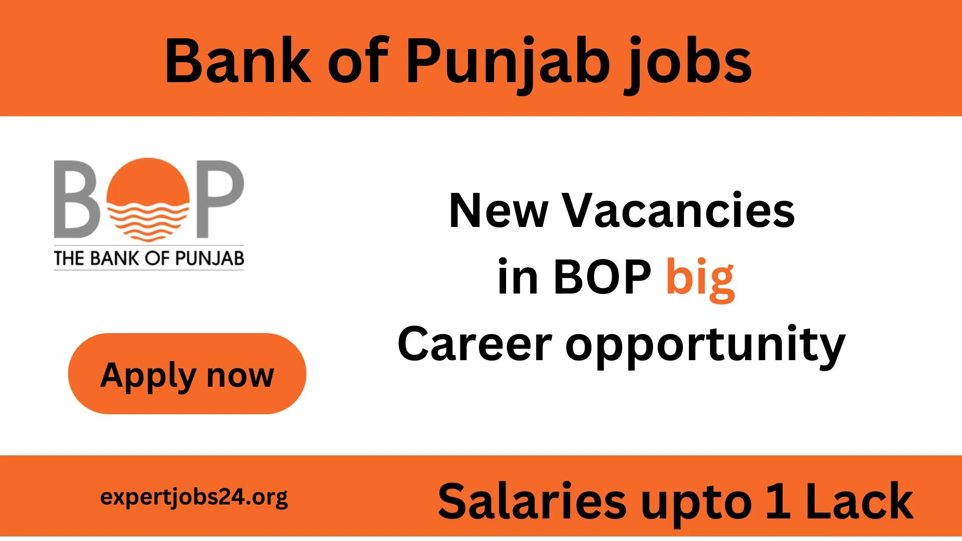 bank of punjab careers