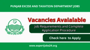 excise jobs online apply 2025