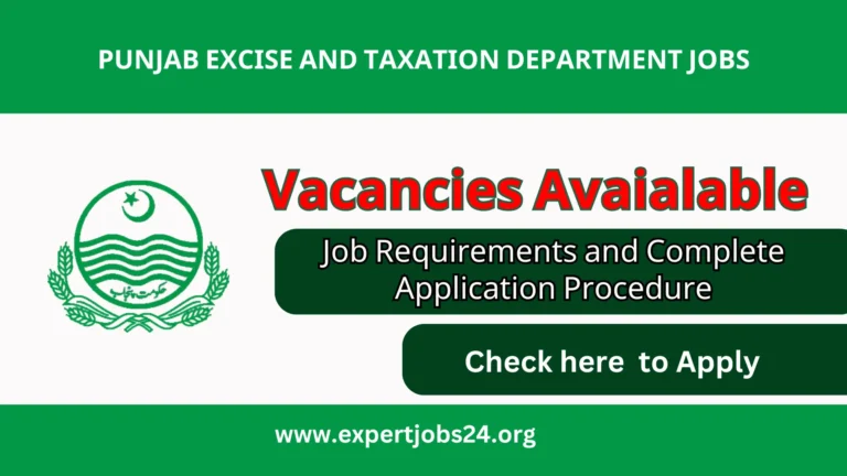 excise jobs online apply 2025